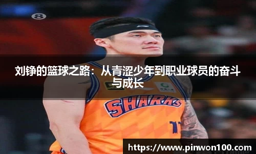 JJB竞技宝官网